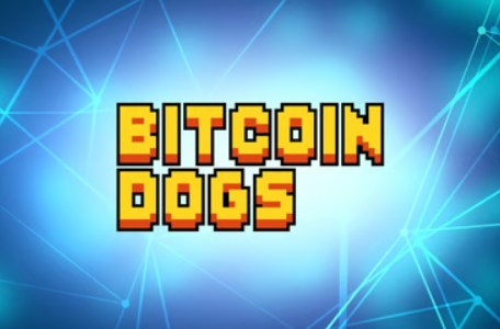 TokenPocket钱包官网下载|随着 2024 年不同寻常的 BTC 相关性凸显，Bitcoin Dogs 进行了火热预售